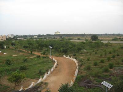 A View of the Project-1.jpg