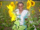 Smile with sun flower.jpg